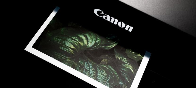 Stuttering in Mainstream Media – Blog 5: The Printer&nbsp;Theory