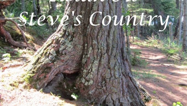 Summer…A Poem. — Steve`s&nbsp;Country