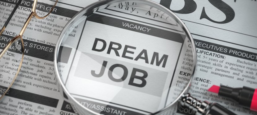 What do we mean by Success? – Blog 2: Your&nbsp;Job?