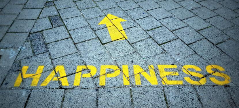 Your Own Path to Happiness – Mental&nbsp;Wealth