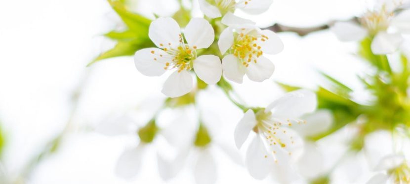 How to build an easy system of self care – 6 strategies to get&nbsp;started