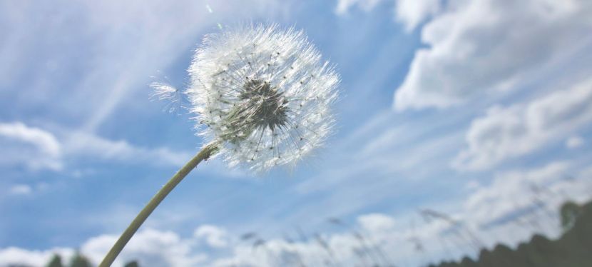 The Flow of Life: The Wisdom of Wu Wei — Pointless&nbsp;Overthinking