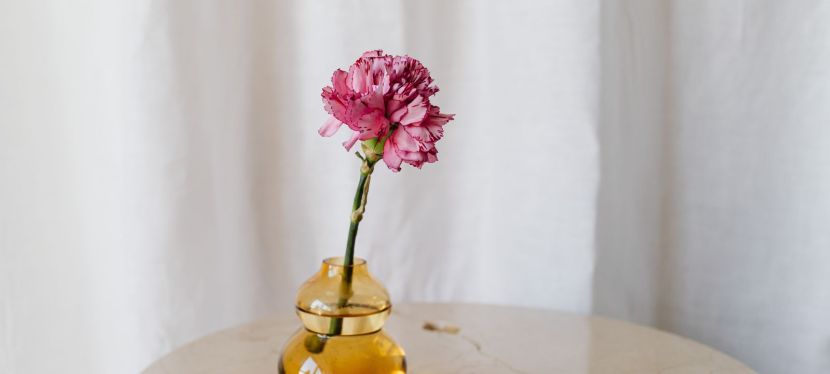 How To Adjust To New Seasons Of Life — Olivia Lucie&nbsp;Blake