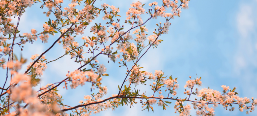 The Power of&nbsp;Hope