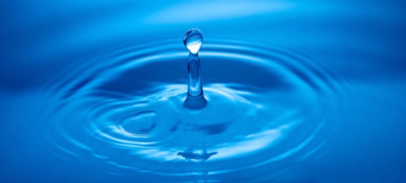 Mindfulness and Evolutionary Psychology: A Primer — Pointless&nbsp;Overthinking