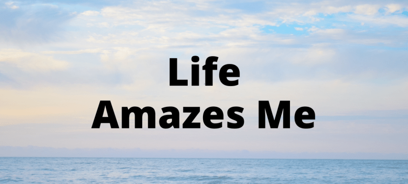 Life simply amazes&nbsp;me