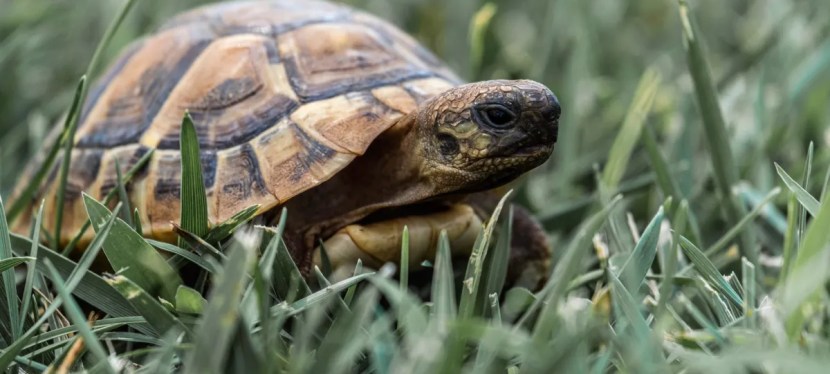 The Power of Habits — Wise &&nbsp;Shine