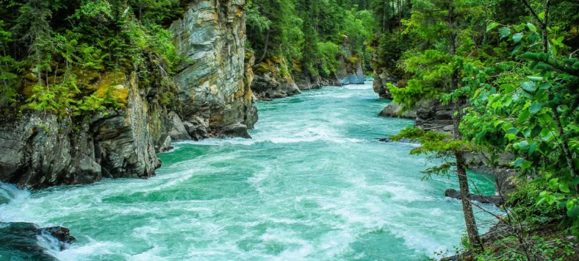 Wu Wei, the Art of Non-acting — Wise &&nbsp;Shine