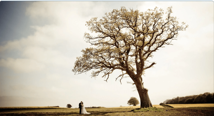 Nurturing Our Roots – Wise &&nbsp;Shine