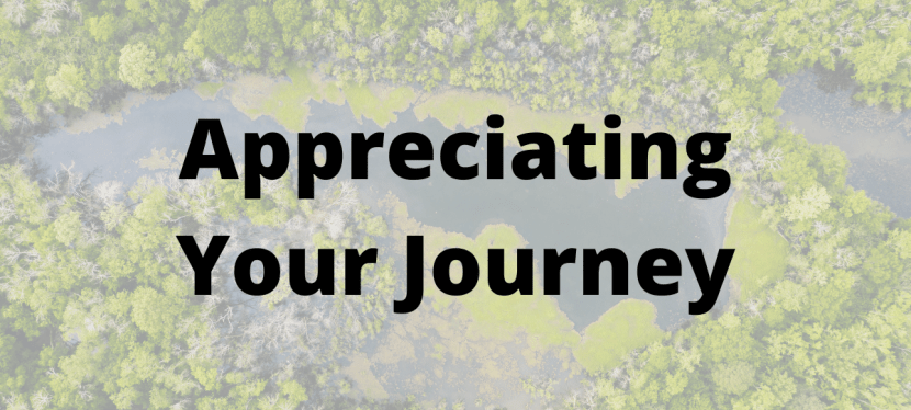 Appreciating Your Journey
