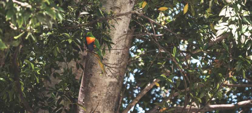 The Power of Systems Thinking: Beyond the Reductionist&nbsp;Mindset