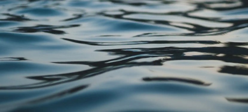Understanding The Ripple Effect – Wise and&nbsp;Shine