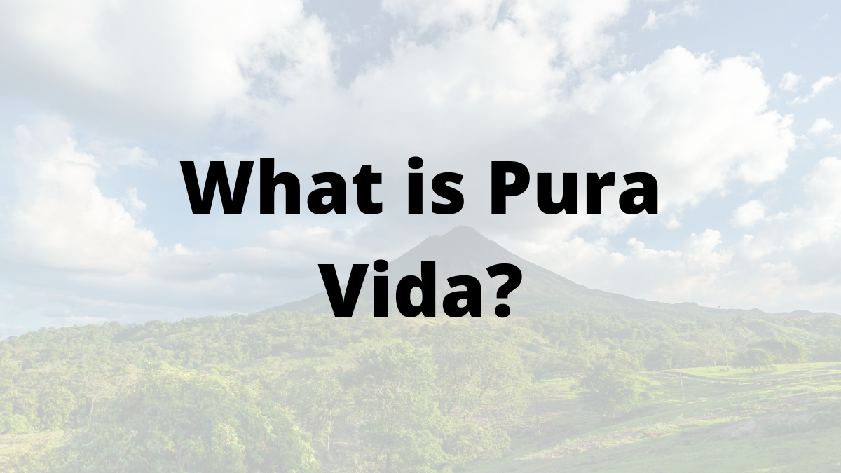 What Is Pura Vida Sweeney s Blogs what-is-pura-vida-sweeney-s-blogs