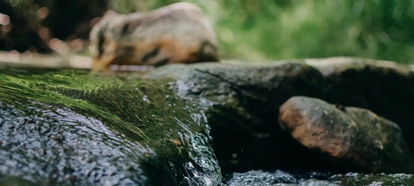 Finding Your Flow – Wise &&nbsp;Shine