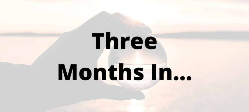 My 2025 New Year’s Resolutions – 3 Months&nbsp;In