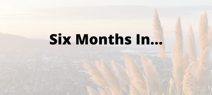 My 2025 New Year’s Resolutions – 6 Months&nbsp;In…