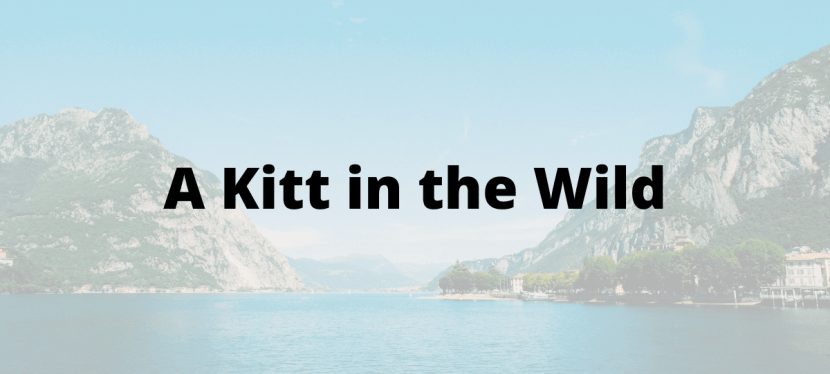 A Kitt in the&nbsp;Wild