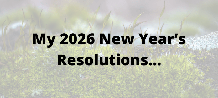 My 2026 New Year’s&nbsp;Resolutions