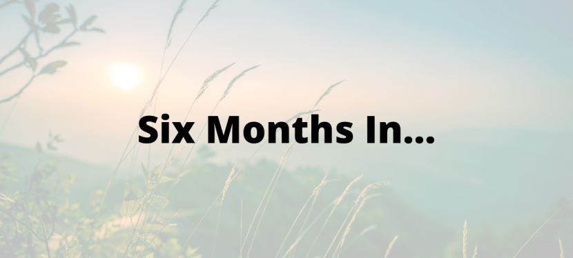 My 2026 New Year’s Resolutions – Six Months&nbsp;In…